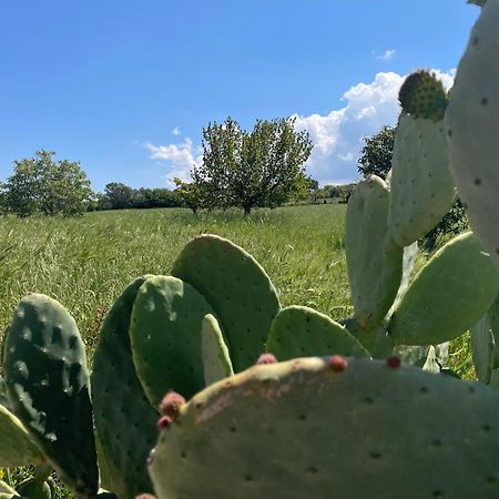 Trulli Del Sole Villa Martina Franca Dış mekan fotoğraf