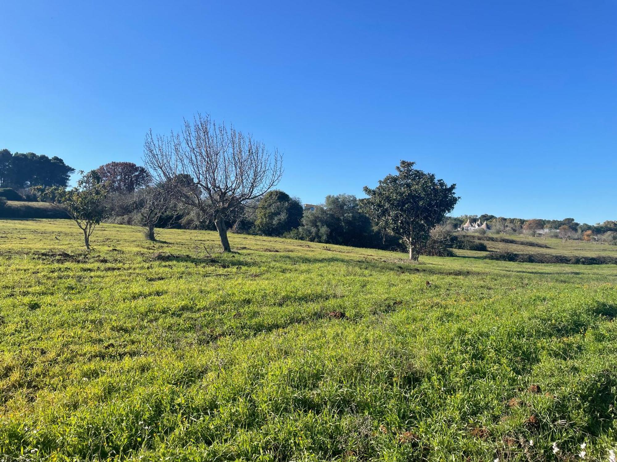Trulli Del Sole Villa Martina Franca Dış mekan fotoğraf