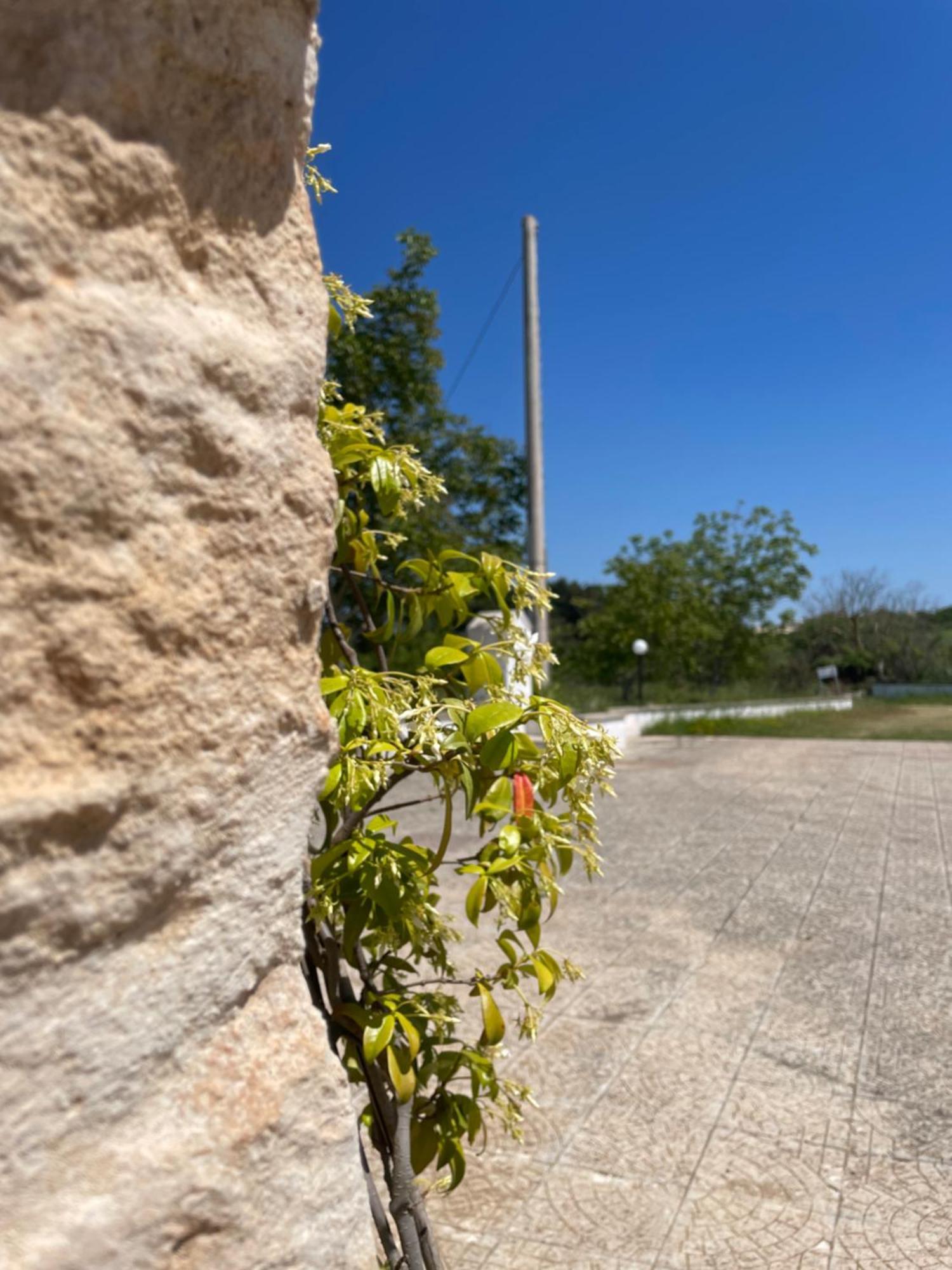 Trulli Del Sole Villa Martina Franca Dış mekan fotoğraf