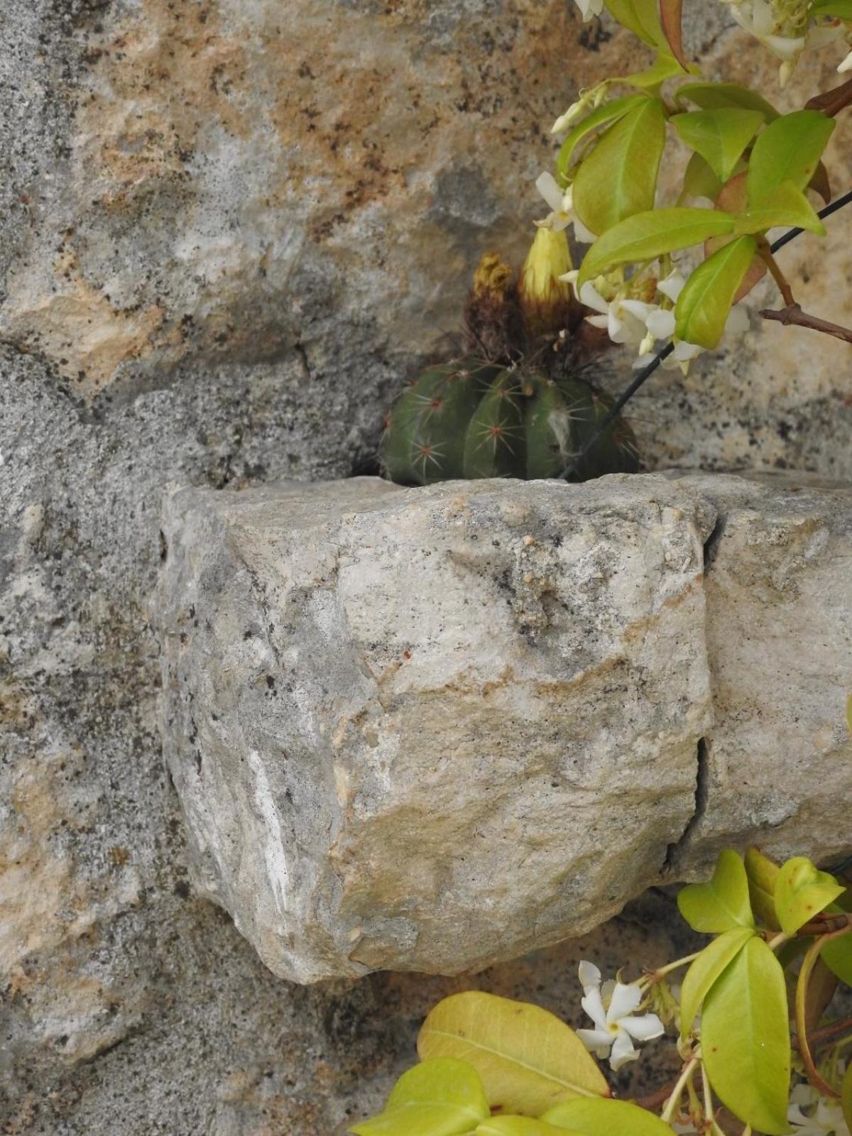 Trulli Del Sole Villa Martina Franca Dış mekan fotoğraf